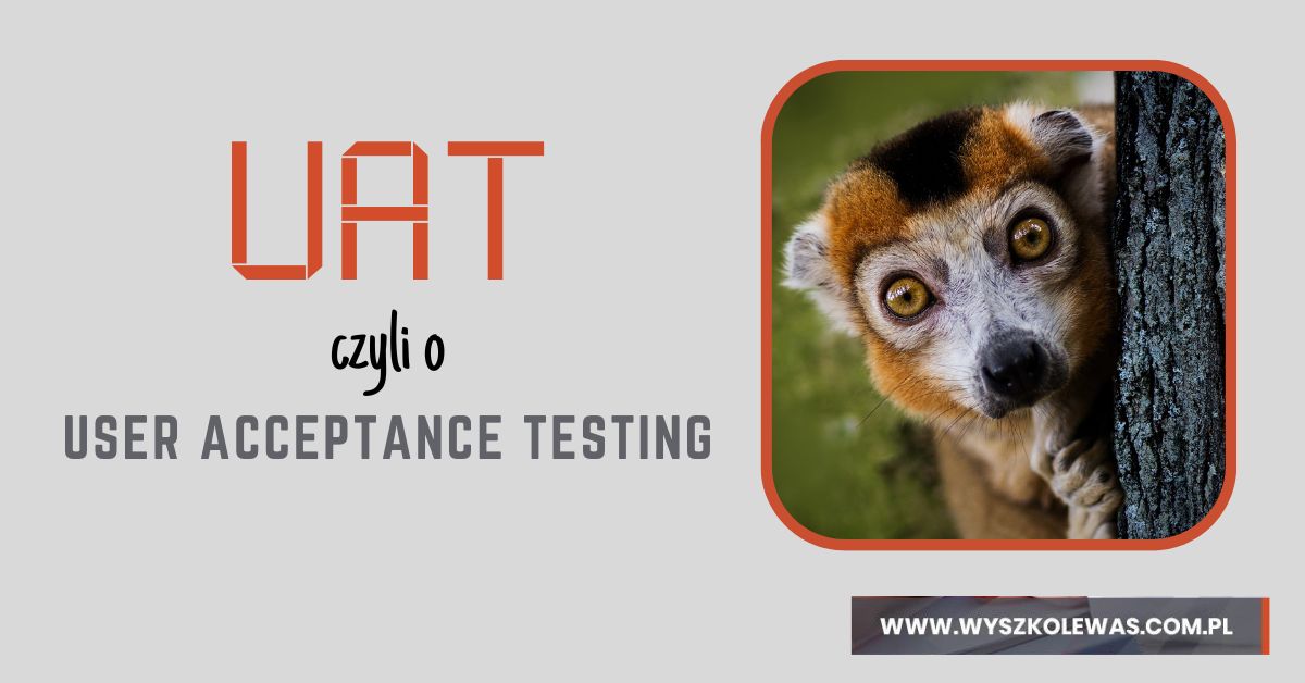 Czym są testy UAT czyli wpis o User Acceptance Testing
