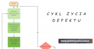 Read more about the article Cykl życia defektu